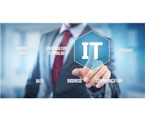 IT & Telecoms